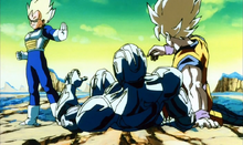 Vegeta film 06.png