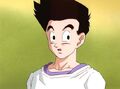 Goten