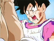 DragonBallZ217b