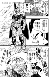Cell ddrm