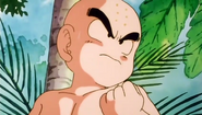 Krillin after East City's destruction