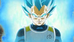 1000x1000) Close-up Recreation of PHY Super Saiyan God SS Blue