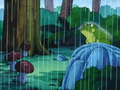 A frog in Yajirobe's Prairie