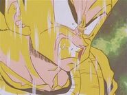 Vegeta using Saiyan Power after being healed by Dende