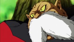 Dragon Ball Super Ep. 122 - Staking His Pride! Vegeta Challenges the Strongest!! - LoGGado