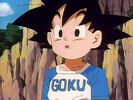 Goku Jr. a shirt that has GOKU in big and bold blue letters