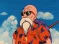 Master Roshi