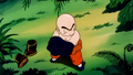 Krillin prepares of for the battle