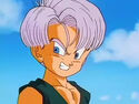 Trunks