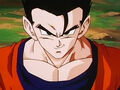 Dbz248(for dbzf.ten.lt) 20120503-18232877