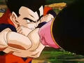 Dbz248(for dbzf.ten.lt) 20120503-18291164