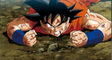 Goku injured RoF