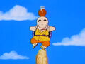 Krillin seen in a flashback, balance training with Goku