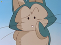 Puar confused