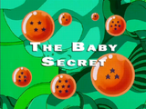 The Baby Secret