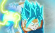 Vegetto Blue