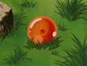 Chris finds the One-Star Dragon Ball in the Cottage