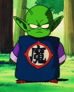 Piccolo Junior's Demon Clothes as a child