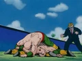 Tien is defeated by Goku