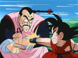 Martial Artist, Dragon Ball Wiki