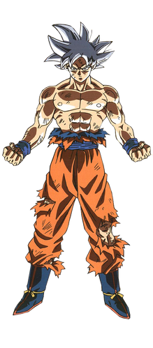 Perfected Ultra Instinct, Dragon Ball Wiki