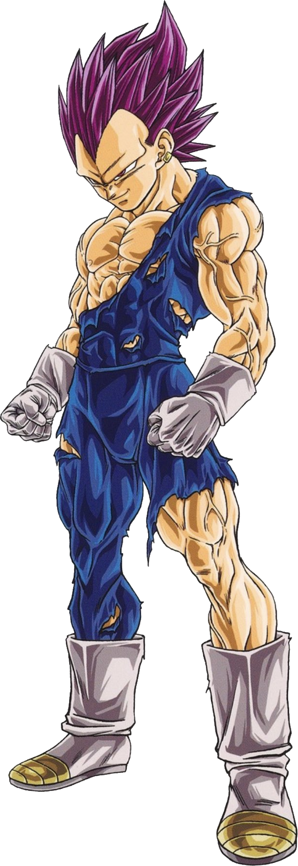 Vegeta (Dragon Ball Super), Character Level Wiki