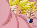 DBZ - 231 - (by dbzf.ten.lt) 20120312-14520854