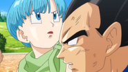 Bulma and Vegeta in Battle of Gods