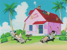 Roshi, Oolong and Puar fix Kame House