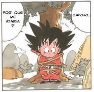 Goku atado