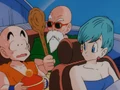 Krillin must tell Chi-Chi what happened to Goku and Gohan