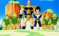 Nappa Vegeta y Saibamen