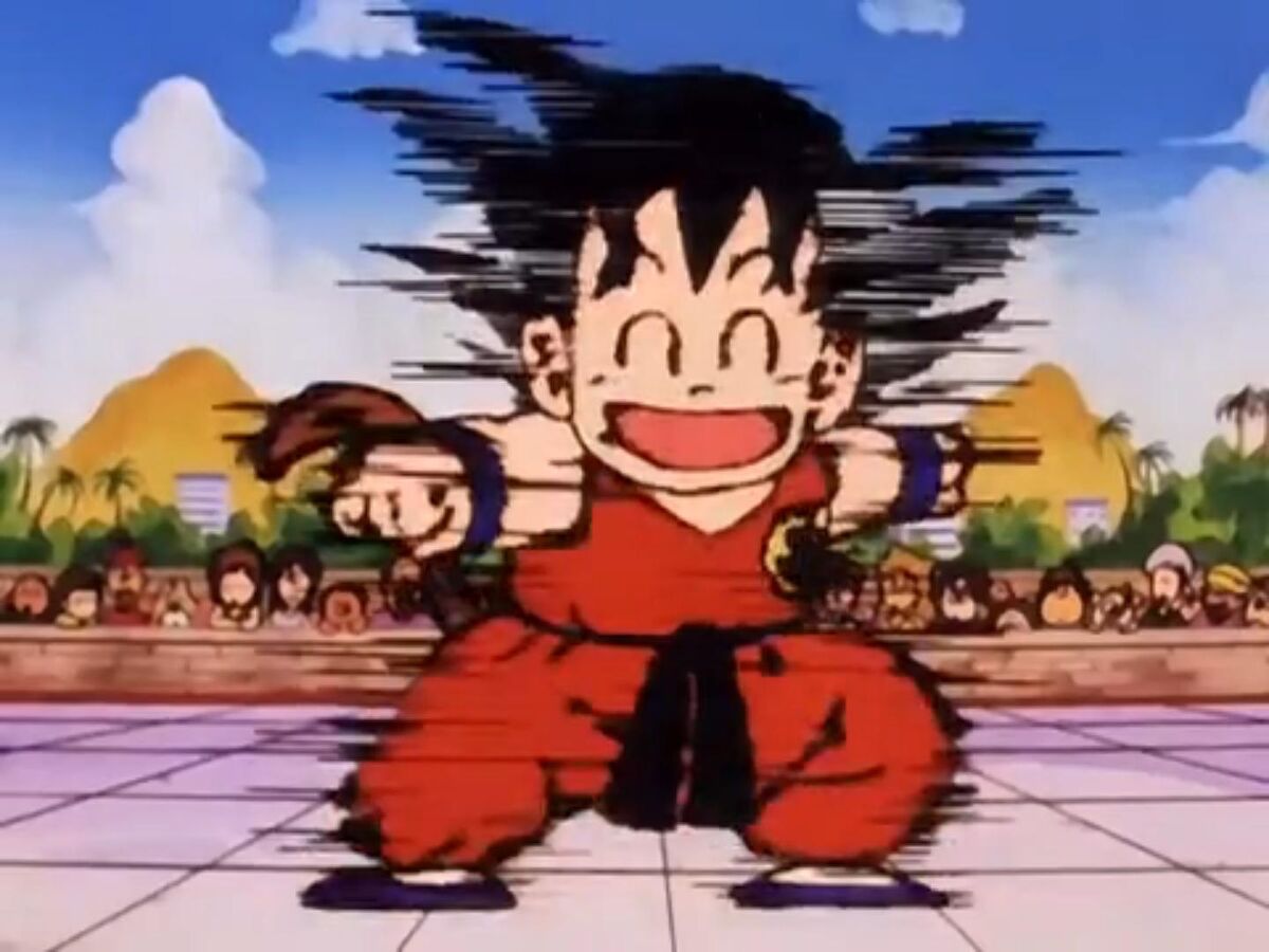 Dragon Ball Z Fãs