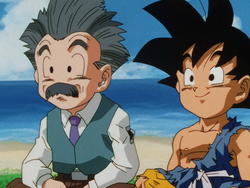 Until We Meet Again, Dragon Ball Wiki