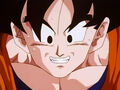 Dbz245(for dbzf.ten.lt) 20120418-17361726