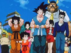 Granddaughter Pan, unbirth, raditz, videl, dragon Ball Heroes, piccolo,  dragon Ball Gt, school Uniform, pan, dragon Ball Super