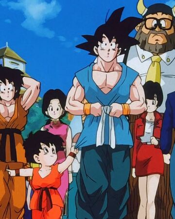 Son Family Dragon Ball Wiki Fandom