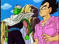 Piccolo and Vegeta