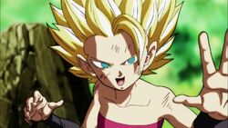 With Great Joy The Fighting Freak Saiyans Battle Rejoined Dragon Ball Wiki Fandom