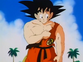 Goku during the final of the 23rd World Tournament