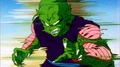 Piccolo