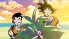 Son Goku e Crilin