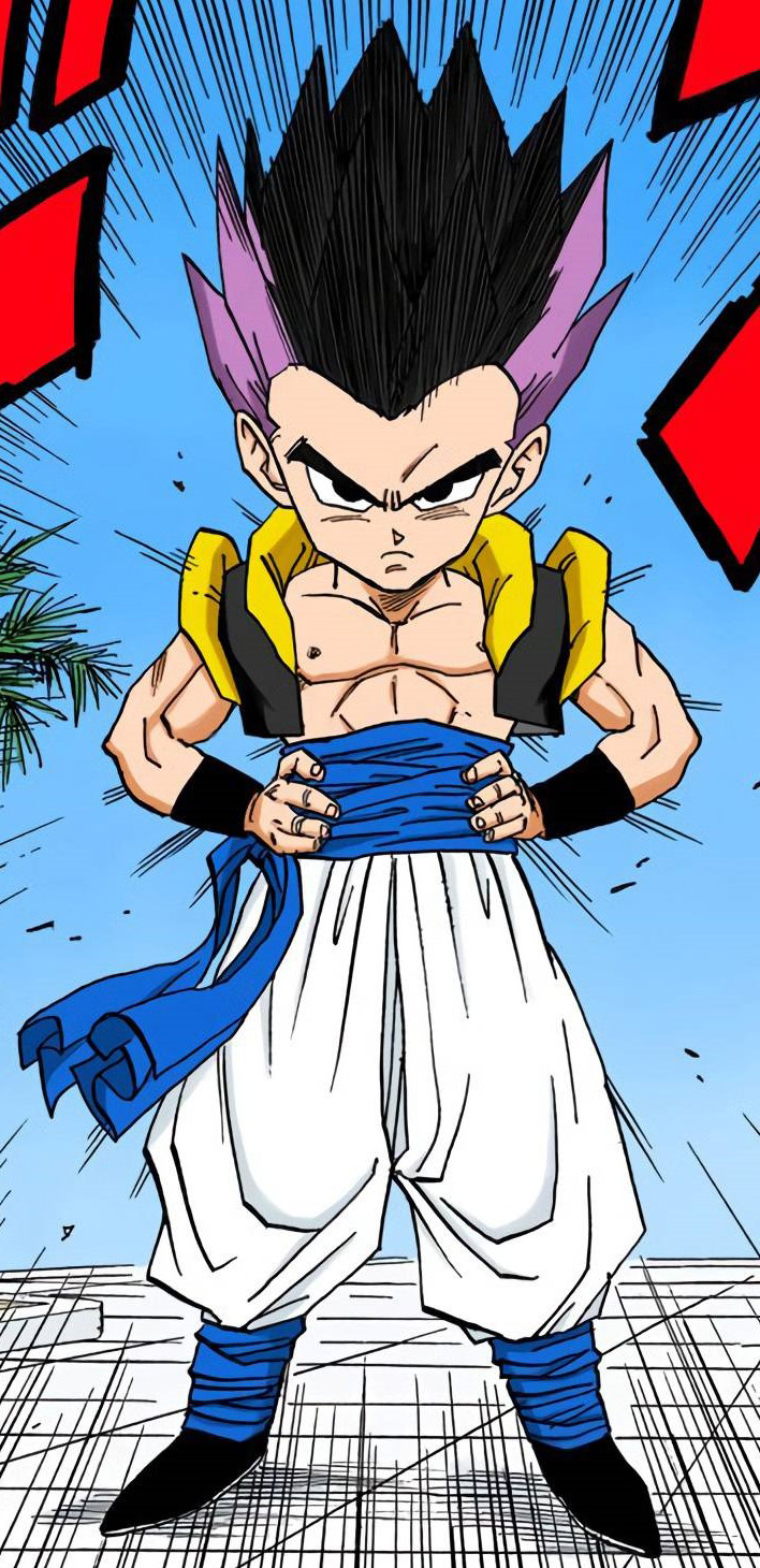 Goku Vegeta Fusion