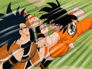 Son Goku vs. Raditz