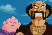 Majin Bu e Mr