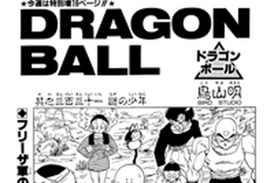 Dragon Ball Z Manga Volume 19