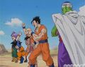 Group Budokai 3