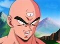 Tien after the Z Fighters are easily defeated