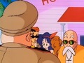 The Red Ribbon Army enter Roshi's island