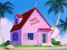 Kame House as seen during the Androids Saga